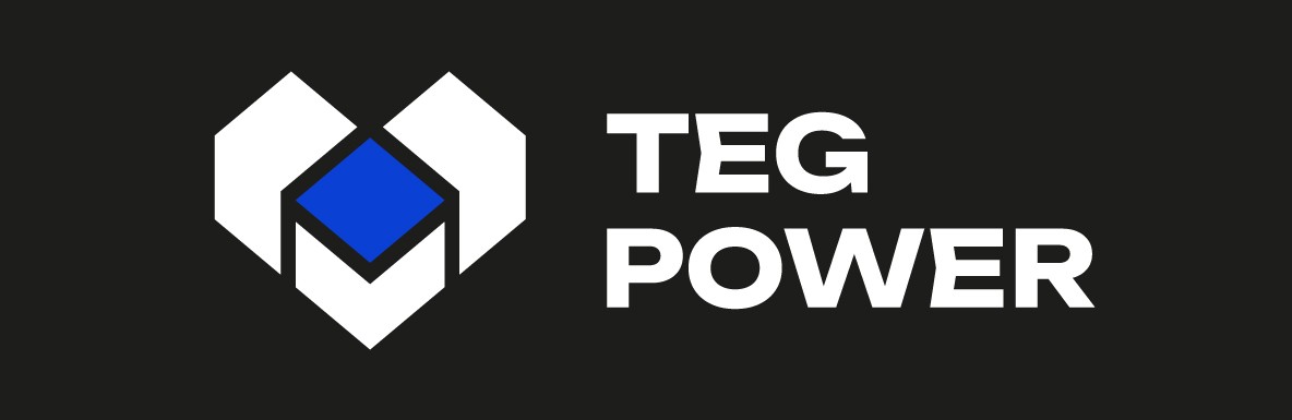 TEG-POWER POLSKA Logo